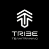 363 Tribe Team Training Partner Update with JP Richard